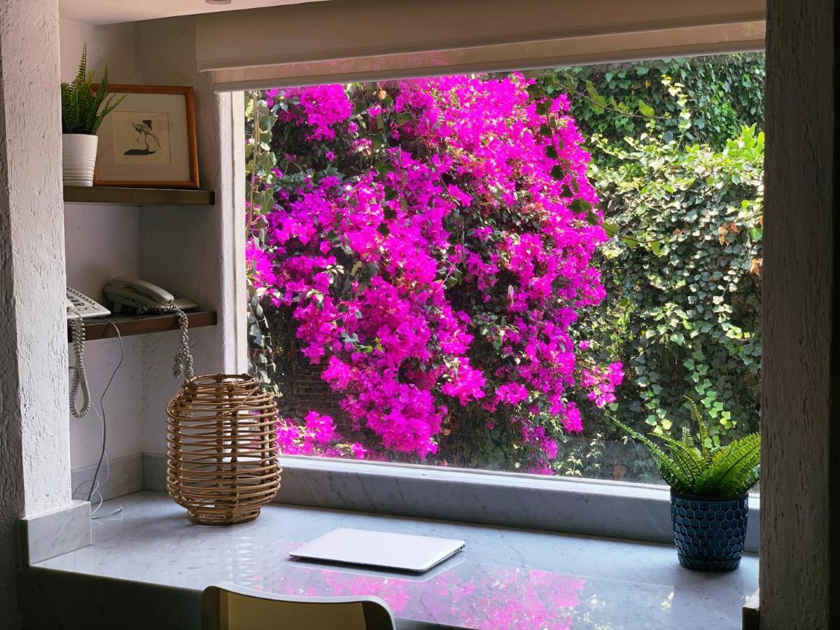 Casa San Angel Inn Boutique Charming House Mexico City Luaran gambar
